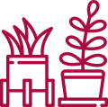 Pots de fleurs rouge