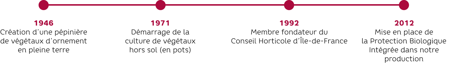 Timeline
